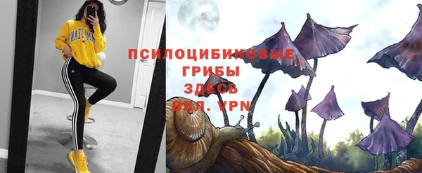 молекула духа Лиски