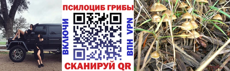 Галлюциногенные грибы Magic Shrooms  Шиханы 